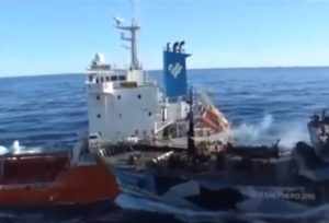 Σοκαριστικές συγκρούσεις πλοίων μπροστά στην κάμερα (video)