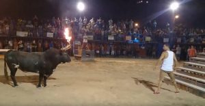 Τον πήρε και τον … σήκωσε ο ταύρος! (video)