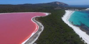 Η “μαγική” ροζ λίμνη Χατ στην Αυστραλία! (video)