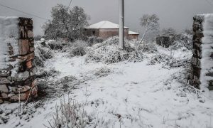 Καιρός: Ξεκάθαρος ο Αρνιακός! Κάτι έρχεται από τις 20 Φλεβάρη… (vid)