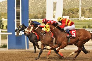 Σημαντικά κέρδη στο Σύνθετο Δίδυμο και το ΤΡΙΚΑΣΤ τη Δευτέρα στο Markopoulo Park