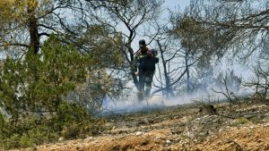 Νύχτα αγωνίας για τη φωτιά στη Ρόδο! Η ενημέρωση της πυροσβεστικής (vid)