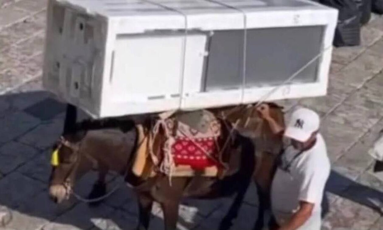 Τα γαϊδουράκια και η «ντροπή» της Ύδρας...