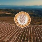 ΟΠΕΚΕΠΕ: Ξεκίνησαν οι πληρωμές, καταβάλλονται τα πρώτα 153 εκατομμύρια ευρώ