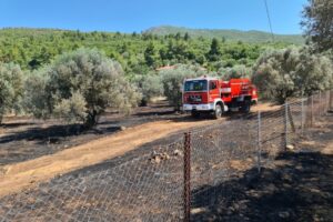 Ακαθάριστα οικόπεδα: Ποια η διαδικασία και το κόστος καθαρισμού