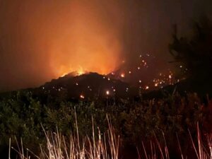 Κάηκε το Δάσος της Ραπεντώσας