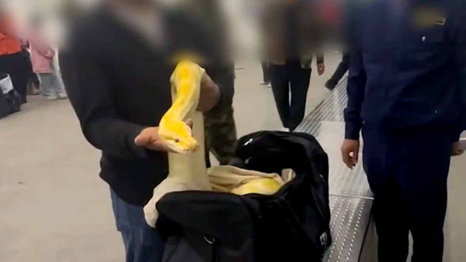 Επαθαν πλάκα οι ελεγκτές αεροδρομίου! Τι έκρυβε στις αποσκευές του; (vid)
