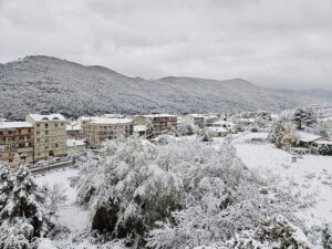 Κακοκαιρία: Απίθανες εικόνες! Πυκνή χιονόπτωση στη Φλώρινα (vid)