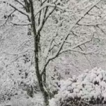 Καιρός – ΕΜΥ: Εντονο κύμα ψύχους τη Δευτέρα – Πού θα χιονίσει…