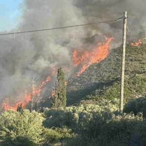 Σε ύφεση η φωτιά στην Εύβοια: Παραμένουν οι φόβοι για αναζωπυρώσεις