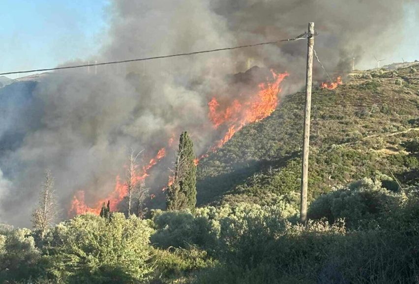 Σε ύφεση η φωτιά στην Εύβοια: Παραμένουν οι φόβοι για αναζωπυρώσεις