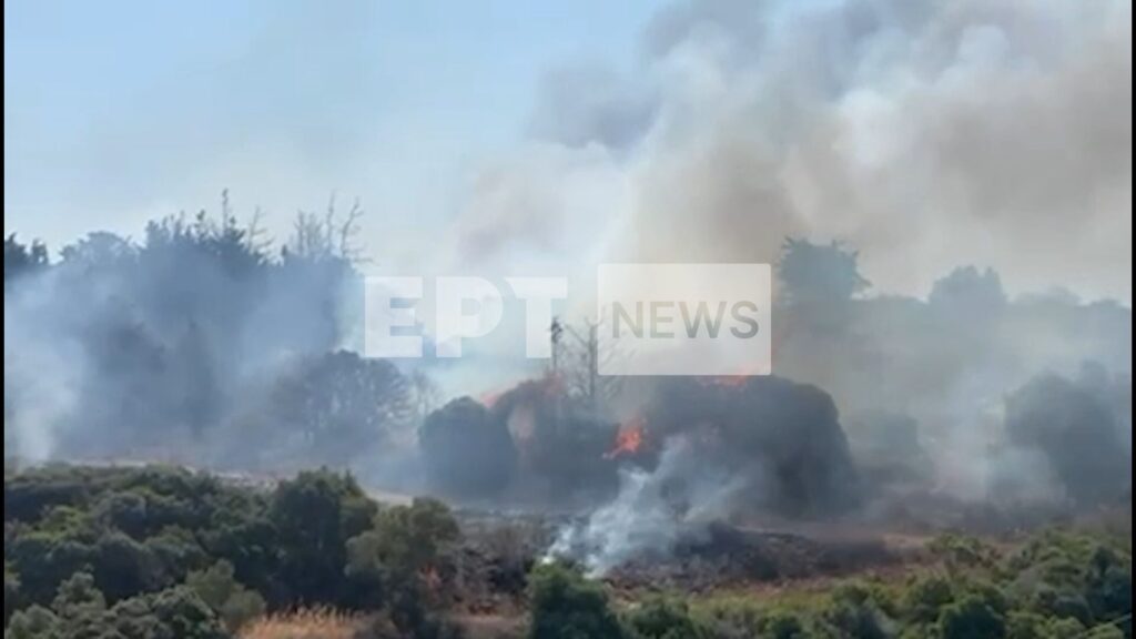 Φωτιά τώρα: Πύρινα μέτωπα σε εξέλιξη