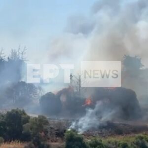 Φωτιά τώρα: Πύρινα μέτωπα σε εξέλιξη