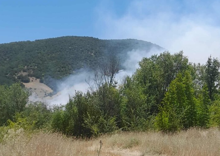Φωτιά τώρα: Μαίνεται στο Δρέπανο Κοζάνης – Συναγερμός λόγω ισχυρών ανέμων