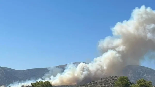 Φωτιά στο Κορωπί: Υπό έλεγχο μετά από άμεση επέμβαση της πυροσβεστικής
