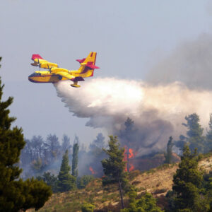 Φωτιά τώρα: Συναγερμός στο χωριό Πελεή Αργολίδας (vid)