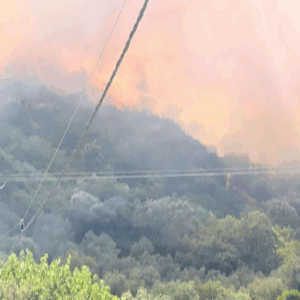 Φωτιά τώρα: Συναγερμός για πυρκαγιά στα Πετράλωνα Μεσσηνίας…