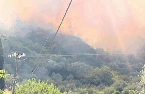 Φωτιά τώρα: Συναγερμός για πυρκαγιά στα Πετράλωνα Μεσσηνίας…