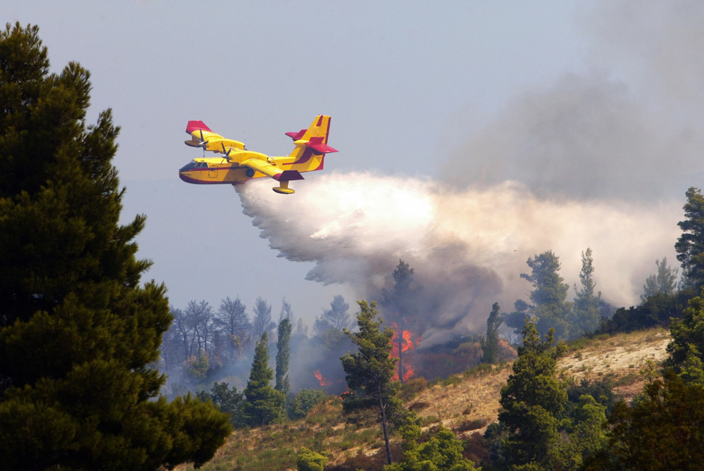 Φωτιά τώρα: Συναγερμός στο χωριό Πελεή Αργολίδας (vid)