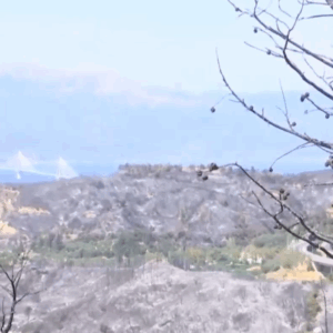 Φωτιά τώρα: Μάχη με τις αναζωπυρώσεις στην Πάτρα – Συλλήψεις για σχέδιο εμπρησμού (vid)