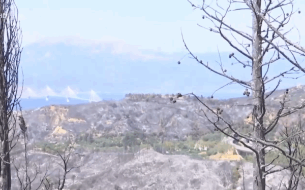 Φωτιά τώρα: Μάχη με τις αναζωπυρώσεις στην Πάτρα – Συλλήψεις για σχέδιο εμπρησμού (vid)