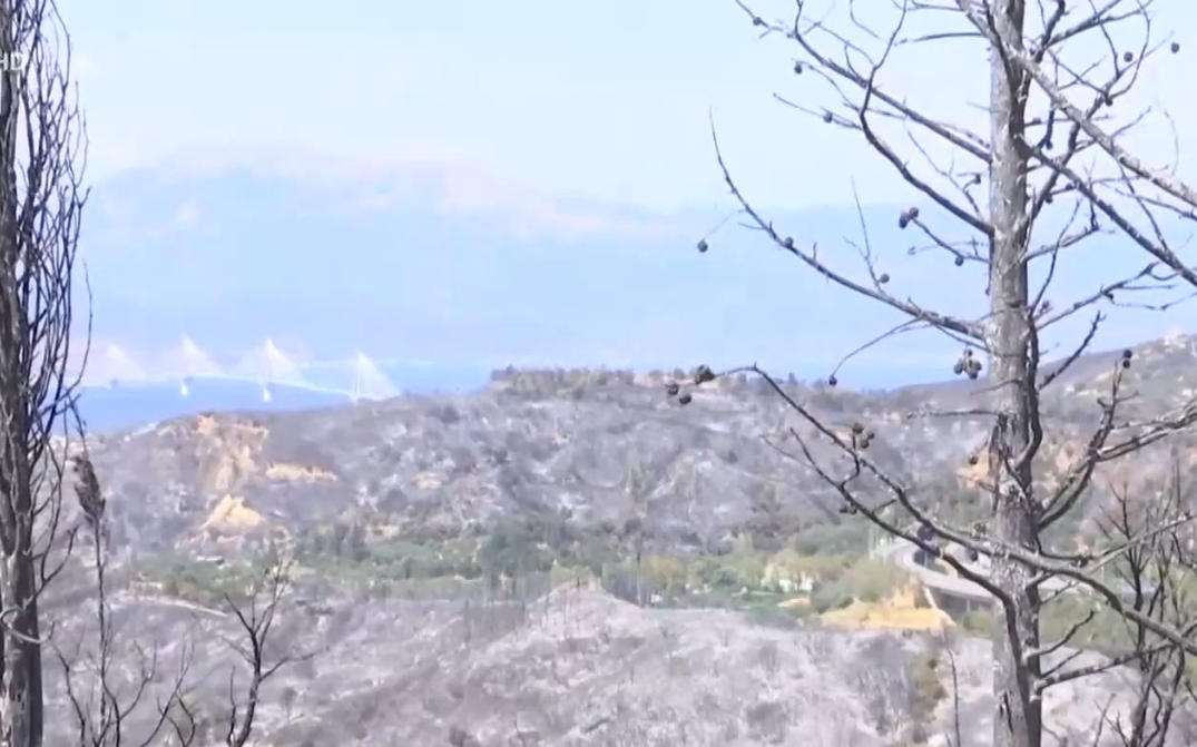 Φωτιά τώρα: Μάχη με τις αναζωπυρώσεις στην Πάτρα - Συλλήψεις για σχέδιο εμπρησμού (vid)