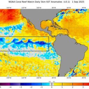 Ιταλός μετεωρολόγος προειδοποιεί για La Niña στον ορίζοντα