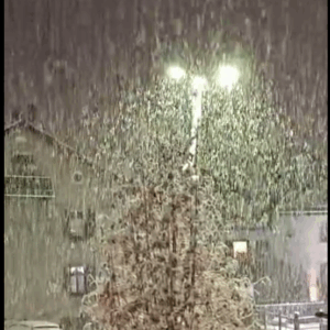 Απολαυστική νυχτερινή χιονόπτωση στο Λιβίνιο (vid)