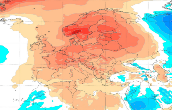 Καιρός Χριστούγεννα: Τσατραφύλλιας για αδύναμες ή παροδικές ψυχρές εισβολές