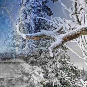 Καιρός 15-12: Ερχονται βροχές από το Σάββατο – Γιαννόπουλος για θερμοκρασίες (vid)