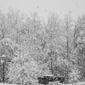 Καιρός Χριστούγεννα: Τσατραφύλλιας για καιρικές ανατροπές