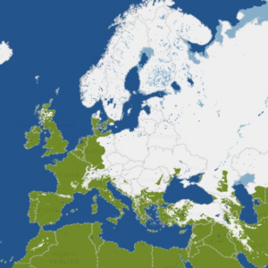 Καιρός: Γιατί είναι τα χιόνια λίγα στην Ελλάδα – Ανάλυση Τσατραφύλλια