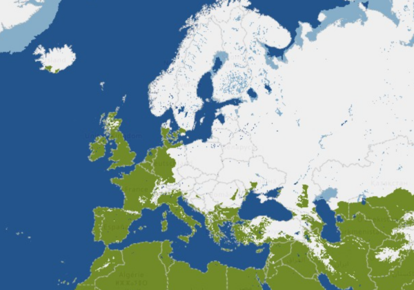 Καιρός: Γιατί είναι τα χιόνια λίγα στην Ελλάδα – Ανάλυση Τσατραφύλλια