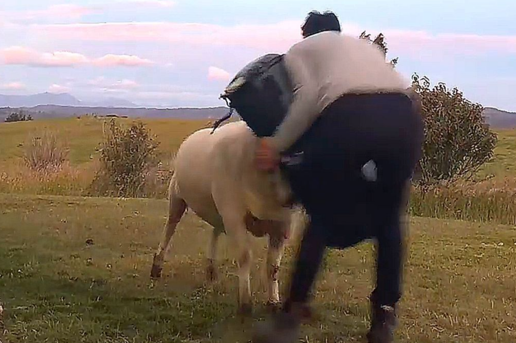 Κριάρι… κάνει προπόνηση με τον ιδιοκτήτη του (vid)