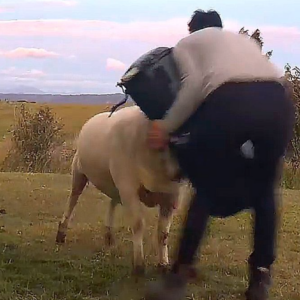 Κριάρι… κάνει προπόνηση με τον ιδιοκτήτη του (vid)