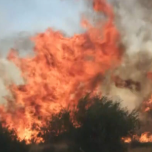 Φωτιές τώρα: Μαίνεται η mega fire σε Πόρτο Γερμενό και Βοιωτία
