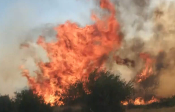 Φωτιές τώρα: Μαίνεται η mega fire σε Πόρτο Γερμενό και Βοιωτία
